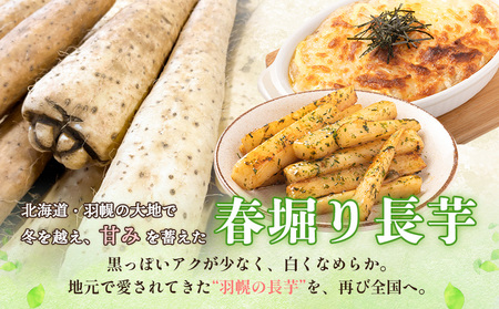 ※先行予約開始 【春堀り】中尾ファームのねばり長芋 5kg【34003】