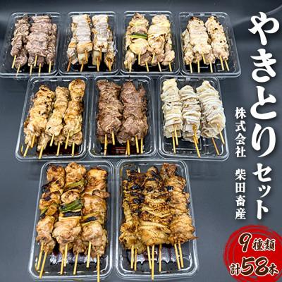 ふるさと納税 横手市 やきとりセット計58本(ももたれ・塩、ねぎまたれ・塩、かしらたれ、さがり、バラ、なんこつ、皮たれ)　