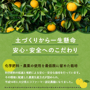ゆずティーセット(計840ml・280ml×3本)ゆず 柚子 自家製 果汁100％ ティー はちみつ 蜂蜜 大分県産 セット【100600400】【櫛野農園】