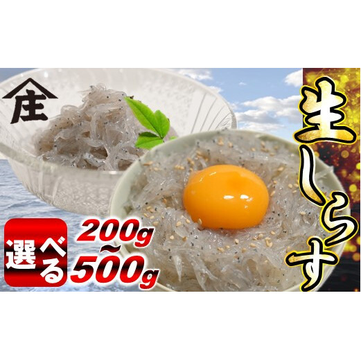 【容量選べる】 生しらす 200g ～ 500g 冷凍 刺身 真空パック ごはん 丼 サラダ 魚 料理 愛知県 南知多町 師崎 シラス しらす 小魚 魚貝 魚貝類 しらす シラス 海鮮 しらす丼 シラス丼 ふるさと納税しらすしらす おすすめ 大人気 南知多産しらす愛知県産しらす