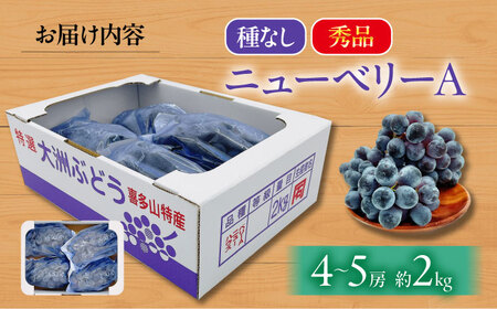 ぶどう【先行予約】【2026年8月中旬から順次発送】ニューベリーA　4-5房入　2.0kg 愛媛県大洲市/株式会社フジ・アグリフーズ[AGBA024]