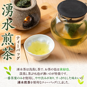 鹿児島県湧水町産！栽培期間中農薬・化学肥料不使用！湧水煎茶ティーバッグ 計40個(20個×2袋) 国産 九州産 鹿児島県産 茶葉 お茶 茶 日本茶 緑茶 煎茶 ティーバッグ ギフト 贈答 プレゼント 
