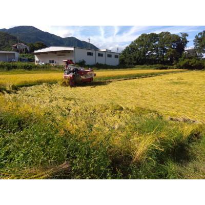 ふるさと納税 千曲市 【令和7年産】コシヒカリ 精米 10kg |  | 03