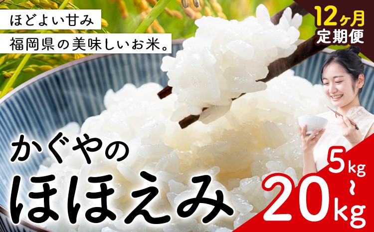 
                  【12ヶ月定期便】米 かぐやのほほえみ 5kg 10kg 20kg 白米 《お申込月の翌月出荷》 福岡県 小竹町 お米 ブレンド米 国産
                