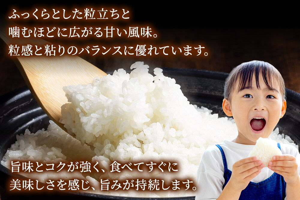米《定期便3ヶ月》サキホコレ【白米】 米どころ秋田県産 令和7年産 精米 10kg（5kg×2袋） [米 お米 こめ 白米 精米 サキホコレ ブランド米 小分け ご飯 ごはん 米どころ 秋田県産 5k