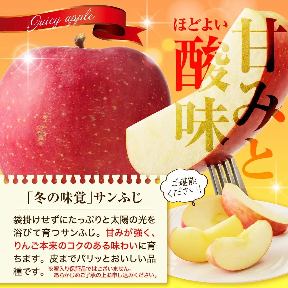 りんご サンふじ 5kg フルーツ 果物 山形 リンゴ