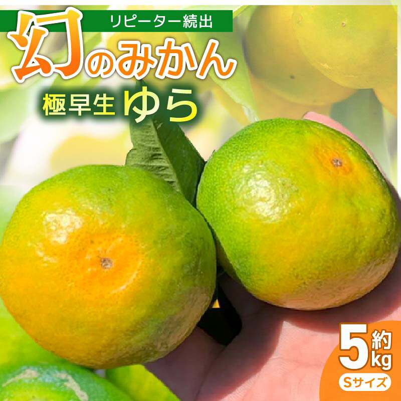 【ふるさと納税】【幻のみかんを是非ご賞味ください！】 服部さんが育てたみかん｢極早生ゆら｣Sサイズ 5kg 服部農園 極早生 ゆら 由良 みかん Sサイズ 5Kg 小玉 早生 緑みかん 果物 フルーツ くだもの 完熟 柑橘 甘い 酸味 濃厚 蜜柑 常温 家庭用 高知県 安田町 HT-02