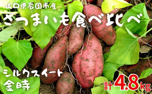 山口県岩国市産 さつまいも シルクスイート 金時 4.8kg