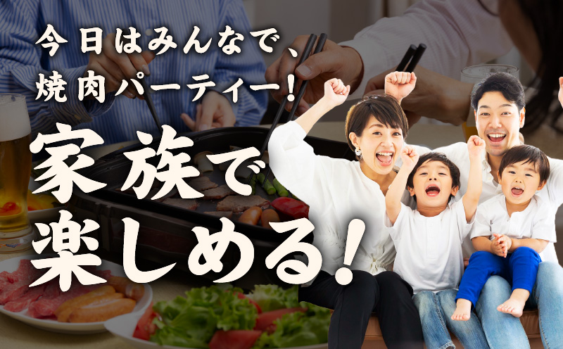 【氷温熟成×特製ダレ】牛ヒレ 1kg＋牛ハラミ 600g 合計1.6kg【スピード発送 味付き 訳あり サイズ不揃い 小分け】 mrz0425