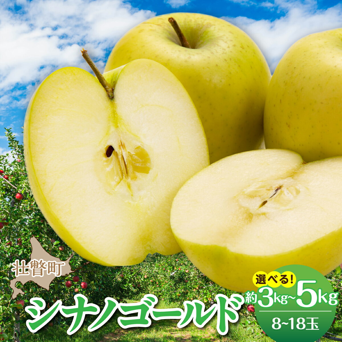 【ふるさと納税】＜2026年11月上旬よりお届け＞北海道壮瞥町　りんご　品種名「シナノゴールド」 選べる容量 約3kg / 5kg【 りんご リンゴ 林檎 果物 フルーツ 甘い 爽やか 香り 濃厚 北海道産 壮瞥町 数量限定 】