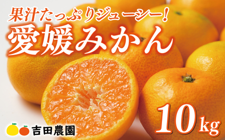 【愛媛みかん】 10kg みかん