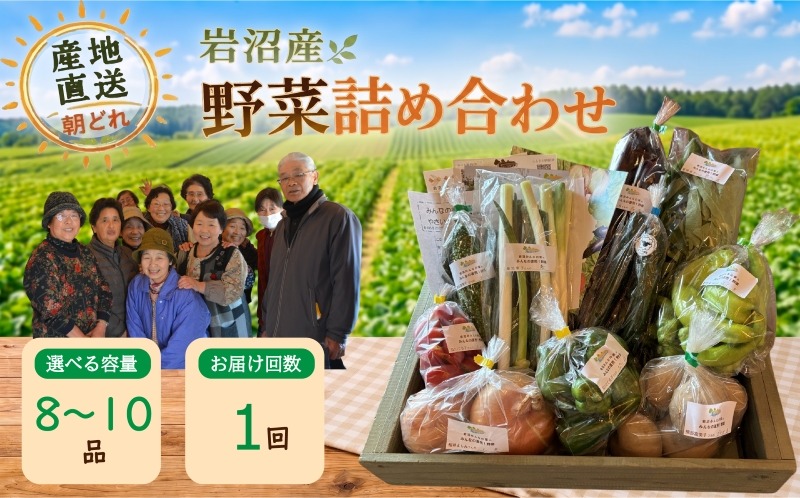 宮城県 岩沼産 産地直送 朝どれ 新鮮野菜 8～10種類 詰め合わせセット