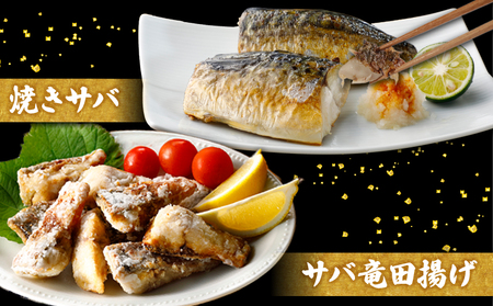 訳あり 腹骨取り 塩さば 真空パック 計16切（4切入×4パック） 鯖 鯖 鯖 鯖 鯖 カネジョウ