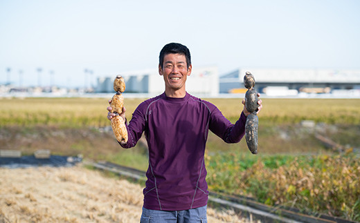 
            うんっま！！佐賀れんこん 2kg：B125-008
          