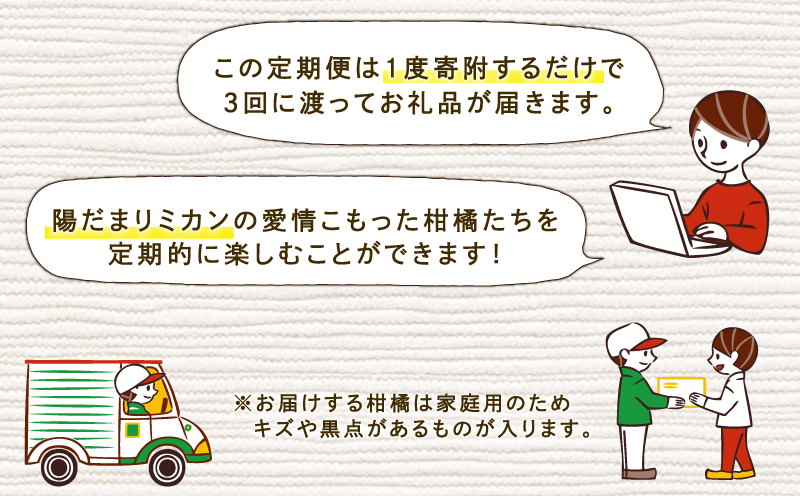 みかん定期便 全3回 早生みかん 10kg 屋根かけ 愛果28号 5kg 河内晩柑 10kg お楽しみ セット 陽だまりミカン 家庭用 柑橘定期便 蜜柑定期便 甘い 果物 フルーツ 柑橘 蜜柑 みかん