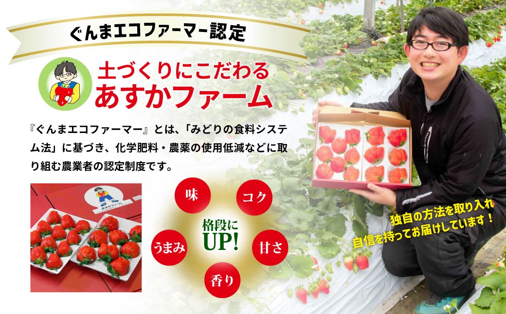 【2026年 先行予約】いちご 4種食べ比べ 大容量パック 約500g×4パック 2kg |｜コク 甘み 朝採れ やよいひめ ななか 恋みのり あまおとめ あすかルビー 贈答用 新鮮 完熟 いちご 旬