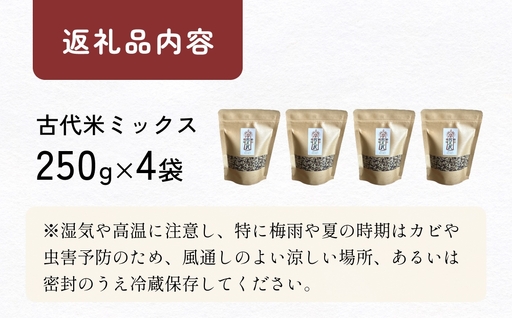 【交響するお米】［古代米ミックス］自然栽培 朝紫&アクネモチ 250g×4袋（ 令和7年産 ） 富山県 氷見市 |  移住農家が里山から直送 米 古代米 紫黒米 緑米