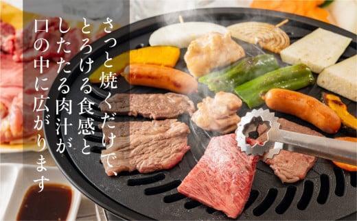 飛騨牛 みすじ ウデ 焼肉 500g | 盛り合わせ ( 赤身 & 霜降り ) 牛 黒毛和牛 国産牛 肉 飛騨高山 飛騨牛のこもり FC032VC13