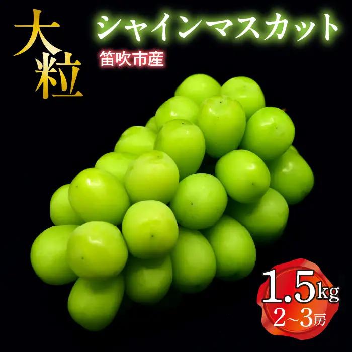 【2026年発送★先行予約】笛吹市産　大粒シャインマスカット　1.5㎏(2～3房) 227-003-26y