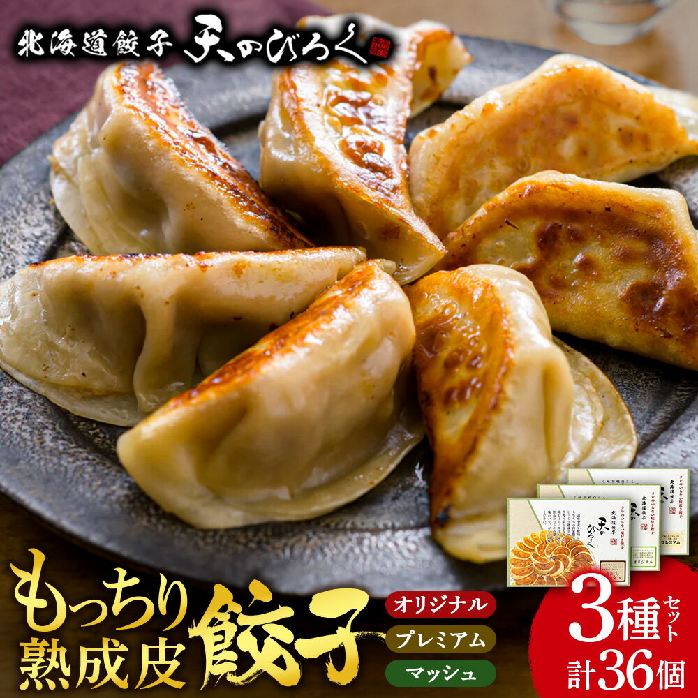 【ふるさと納税】 北海道餃子★天のびろく 3種セット＜北海道餃子天のびろく＞ 加工品 惣菜 冷凍 ぎょうざ ギョーザ 【北海道千歳市】ギフト ふるさと納税