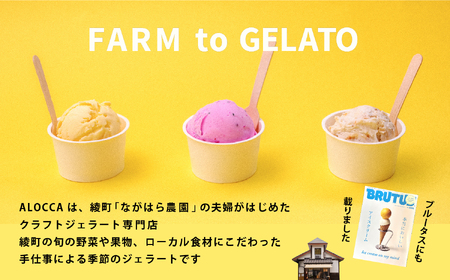 オーガニックタウン綾町から届く、季節のクラフトジェラート〈12個セット〉