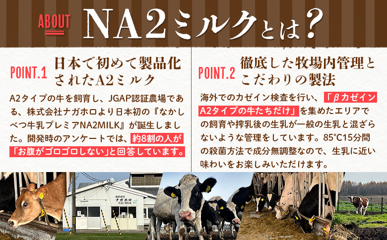 【定期便：全3回】なかしべつ牛乳プレミアム NA2 MILK 1000ml×12本【14032】