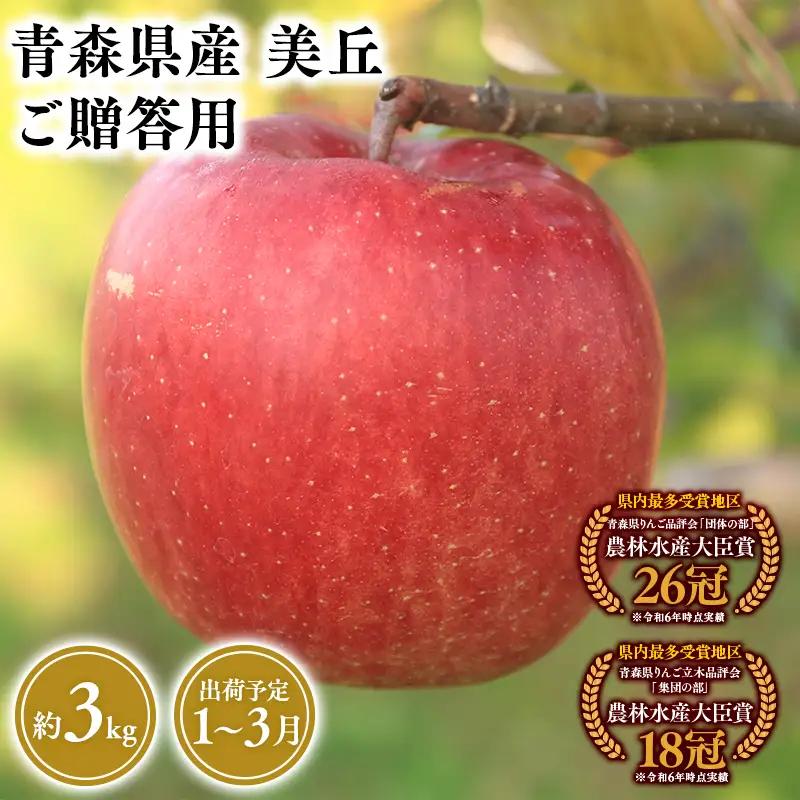 りんご 贈答用 美丘3kg りんご