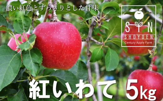 【先行予約】松陽園 樹上完熟 りんご 紅いわて 5kg 【2025年9月中旬ごろから発送予定】 農家直送