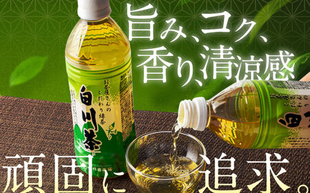 【3回定期便】 白川茶ペットボトル 500ml×24本入 緑茶 お茶 ペットボトル 500ml ケース 白川町 / 白川園本舗[AWAT006]