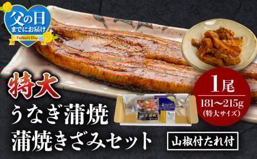 《父の日までにお届け予定(6月1日～6月15日)》国産うなぎ蒲焼(特大サイズ)・蒲焼きざみセット_M069-017_01-FD