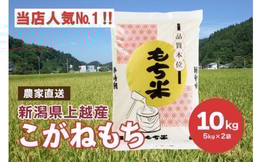ブランドもち米「 こがねもち 」令和6年産／【精米10kg（5kg×2袋）】コガネモチ 米 お米 こめ 新潟 上越
