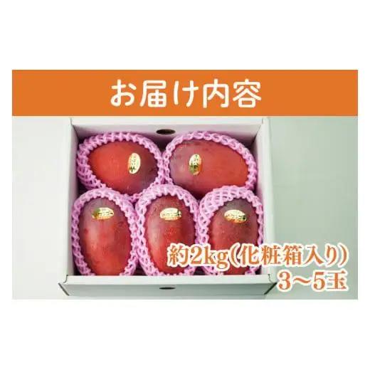 菜々色畑の赤秀アーウィンマンゴー 3～5玉(約2kg)【化粧箱】