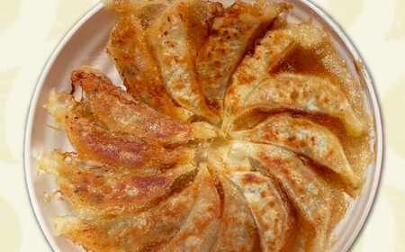 餃子 生餃子 ファミリーセット(55個入り) [ANHL004] 餃子