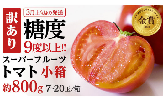 《 2026年収穫分 先行予約 》 訳あり 糖度9度以上 スーパーフルーツトマト 小箱 約800g × 1箱 (7～20玉/1箱) フルーツトマト ブランドトマト 野菜 ギフト 贈答 [BC042sa
