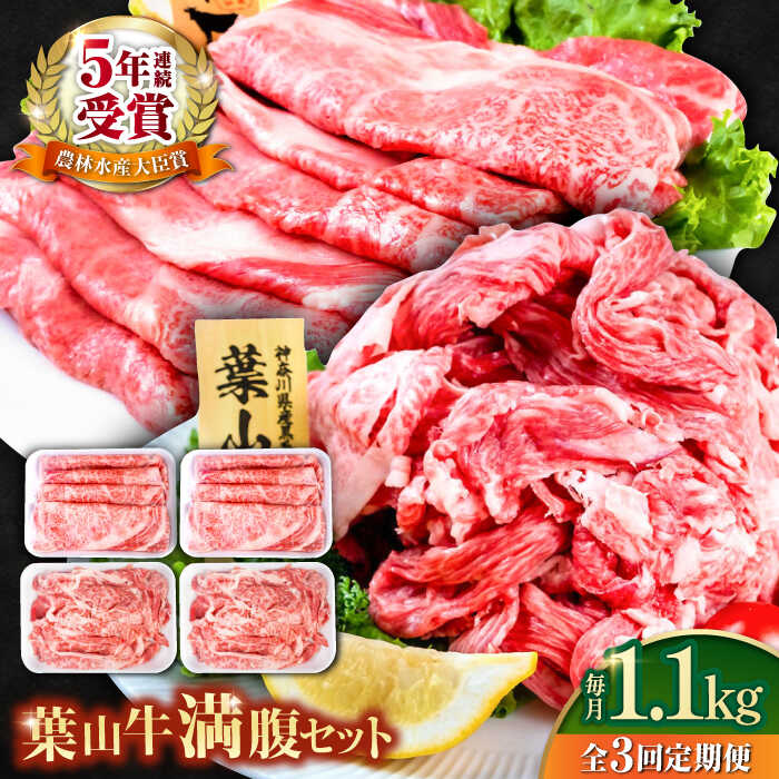 【ふるさと納税】【全3回定期便】葉山牛満腹セット（肩ロースすき焼用250g×2＋切落し300g×2）国産牛 牛肉 切り落とし 肩ロース 贅沢 セット たっぷり 大容量 1キロ超え 高級和牛 冷凍 黒毛和牛 国産 希少品種 小分け 横須賀 すき焼き ぎゅうにく 【株式会社羽根】[AKAG042]