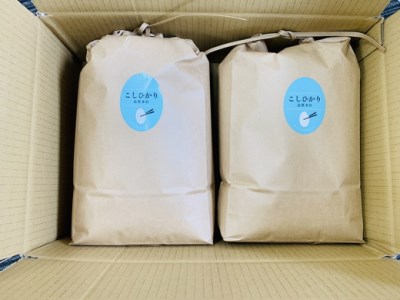 【新米】令和7年産　近江米　コシヒカリ【10kg（5kg×2袋）】環境こだわり米【AB62U1】（米 コメ こめ 新米 6年産 白米 はくまい ごはん ご飯 精米 こしひかり コシヒカリ 先行 予約 