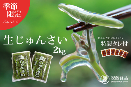 生じゅんさい2kg ゆずタレ6個 《冷蔵》（2026年5月上旬頃～7月下旬までに発送予定） 令和8年産 2026年産 先行受付  秋田県産 三種町産