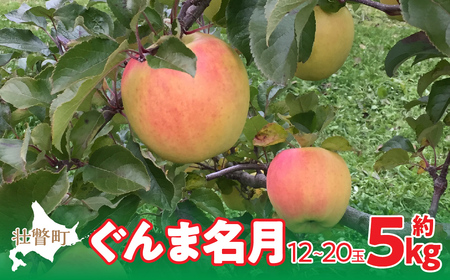 ＜2024年11月中旬よりお届け＞北海道壮瞥町 りんご「ぐんま名月」12～20玉約5kg  【 ふるさと納税 人気 おすすめ ランキング りんご リンゴ 林檎 ぐんま名月 甘い 蜜 北海道 壮瞥町 送料無料 】 SBTF013