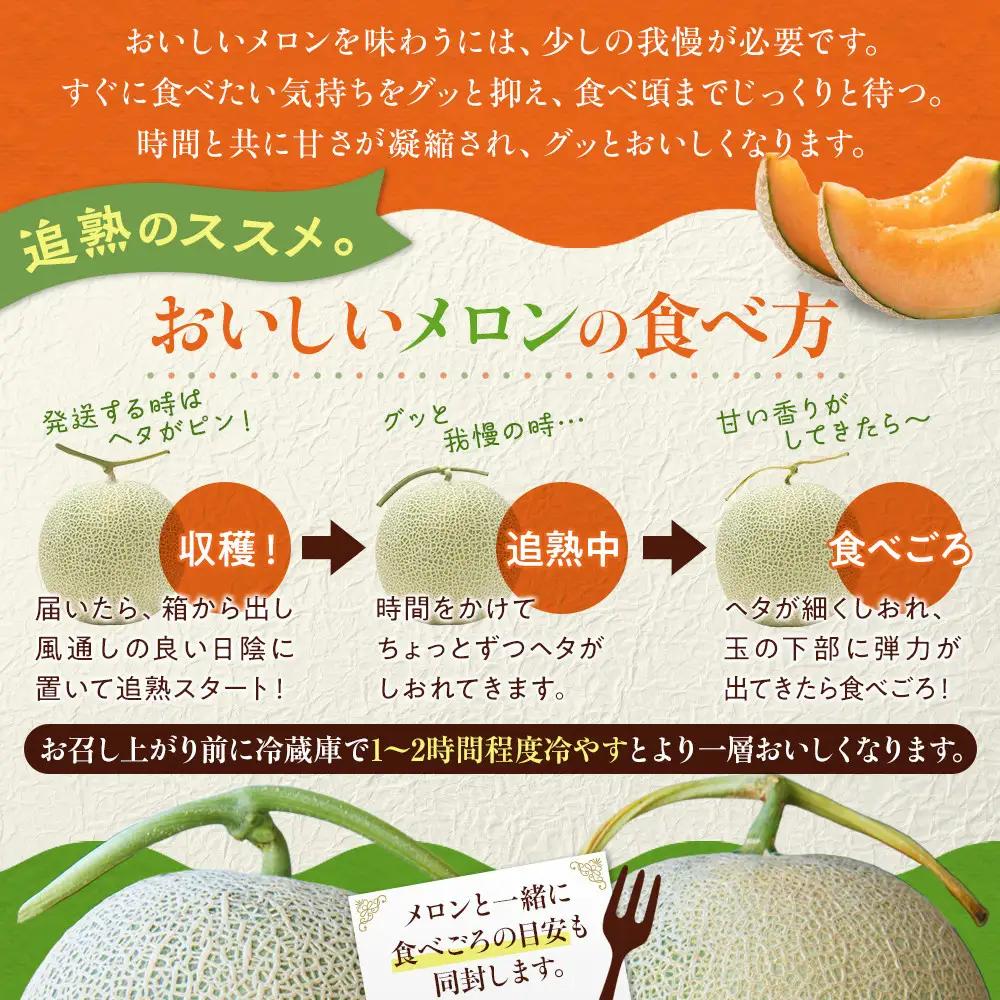 【先行予約】 北海道産青肉メロン1.3kg×1玉 (2026年7月中旬から発送)  | メロン_05289