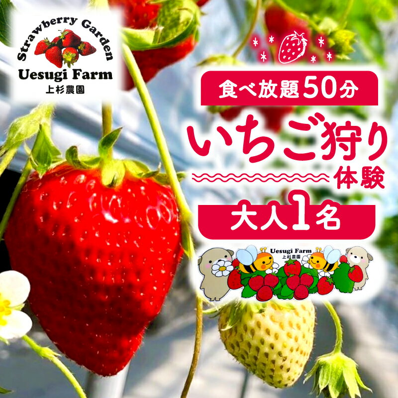 【ふるさと納税】 【2026年1月～発送】 上杉農園のいちご狩り 大人 1人 利用券 50分食べ放題 いちご狩り いちご イチゴ 苺 チケット 体験 観光 旅行 家族 デート フルーツ 果物 上杉農園 京都 八幡