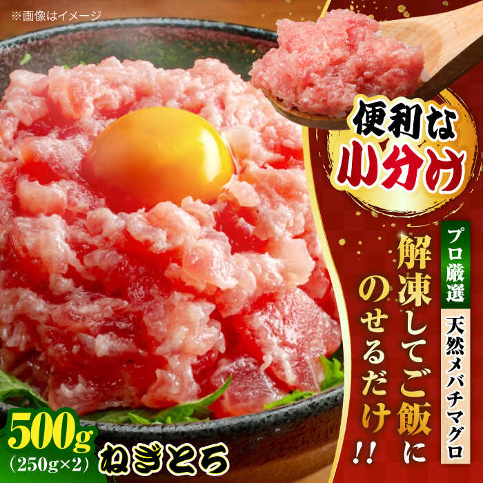 【ふるさと納税】まぐろ ねぎとろ 約500g（約250g×2パック） まぐろ 鮪 ネギトロ ねぎとろ まぐろたたき マグロたたき ネギとろ ねぎトロ 【横須賀商工会議所 おもてなしギフト事務局（本まぐろ直売所 横須賀本店）】[AKAK120] 7000円 7千円