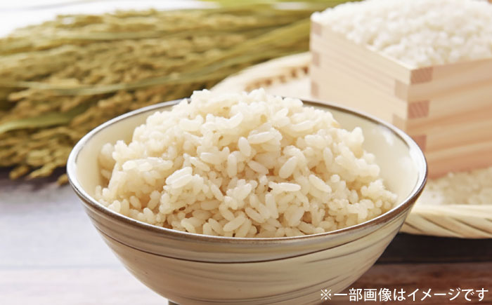 さがびより 七分づき無洗米 4kg (2kg×2袋) / 無洗米 佐賀県産 国産 / 佐賀県 / 株式会社SUMRICE [41AAAV004]