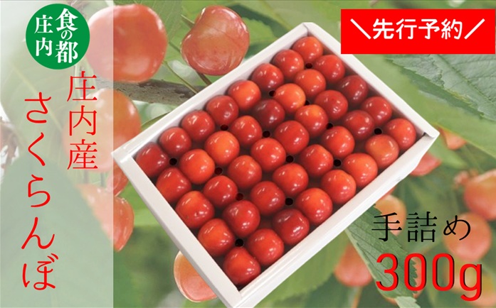 【令和8年産】食の都庄内　庄内産さくらんぼ「佐藤錦」手詰め約300g　※令和8年6月中旬～下旬頃発送予定 [HS4-240(庄内旬青果)]