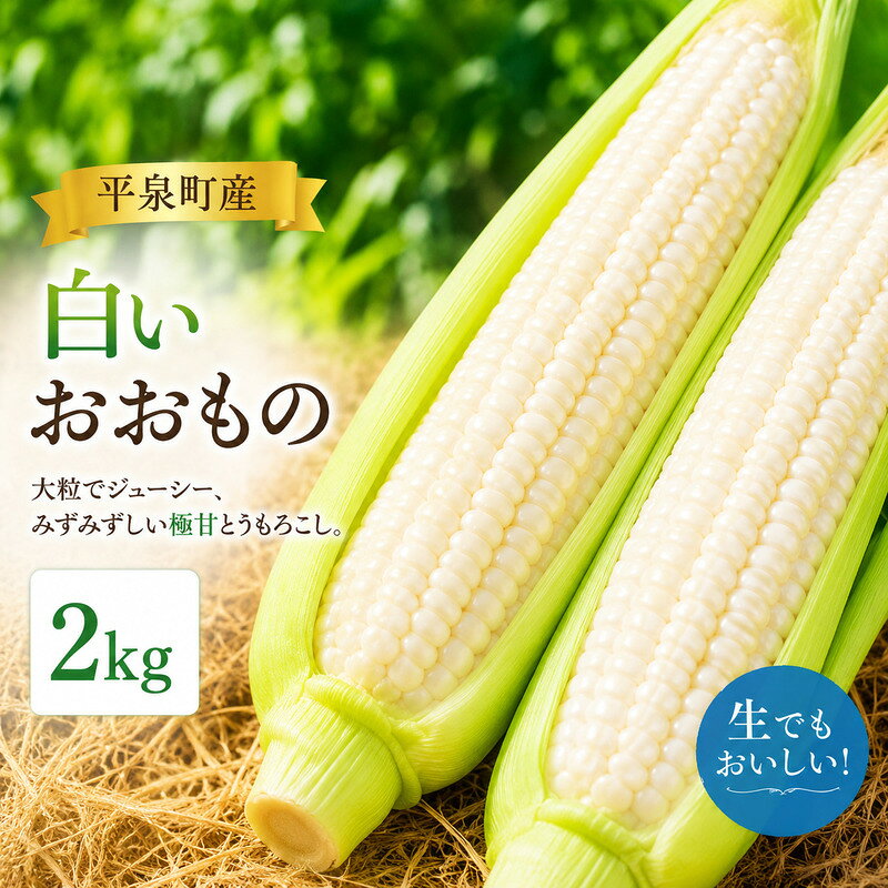 【ふるさと納税】 【7月下旬～8月上旬発送】 白い おおもの とうもろこし 2kg (4～6本) 平泉町産 / トウモロコシ 野菜 やさい 甘い 濃厚 美味しい 【配送不可地域：九州／沖縄県／離島】 送料無料