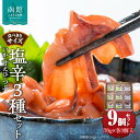 【ふるさと納税】塩辛 3種セット いか 甘えび つぶ 70g × 各 3個入 計 9個 食べきりサイズ 食べきり セット まろやか 数の子 昆布 ピリ辛 酒の肴 おつまみ ご飯のお供 珍味 小分け パック 便利 ごはんにのせて 北海道 函館 送料無料 お取り寄せグルメ