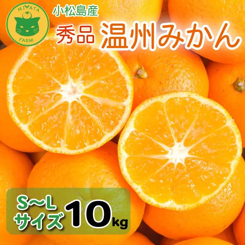 【2026年10月20日~31日発送】 温州みかん 10kg 秀品 みかん