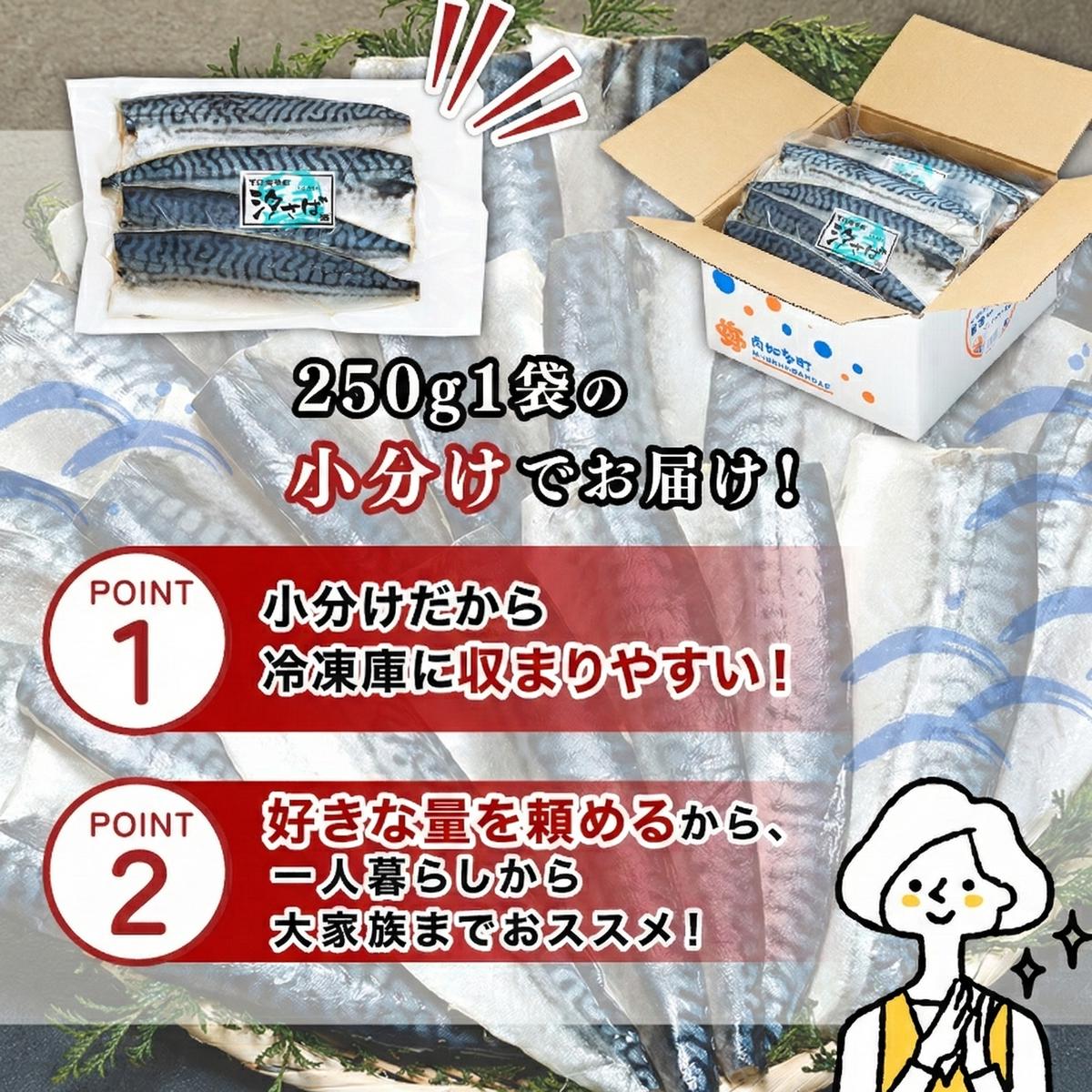 訳あり塩サバ フィレ2kg