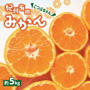 【ふるさと納税】紀州有田みかん 　こつぶちゃん　約5kg　 | みかん 有田 こつぶ 和歌山 柑橘 フルーツ 果物 くだもの 家庭用 濃厚 完熟 先行予約 期間限定 農家直送 5kg 由良町 ふるさと納税 返礼品 お礼の品