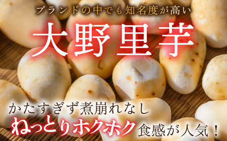 【先行予約】越前大野の里芋の洗い子【冷蔵】2kg【11月より順次発送】｜ 里芋 