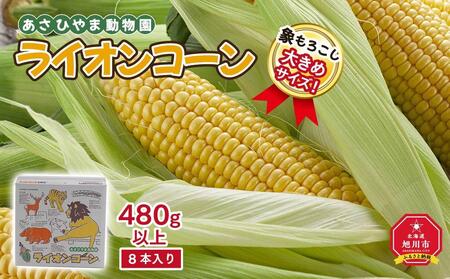 【先行予約】象もろこし（ライオンコーン）大きいサイズのトウモロコシ　480ｇ以上8本入り(2025年8月下旬～発送開始予定) | とうもろこし とうもろこし とうもろこし とうもろこし とうもろこし コーン  コーン  コーン  コーン  コーン _01412